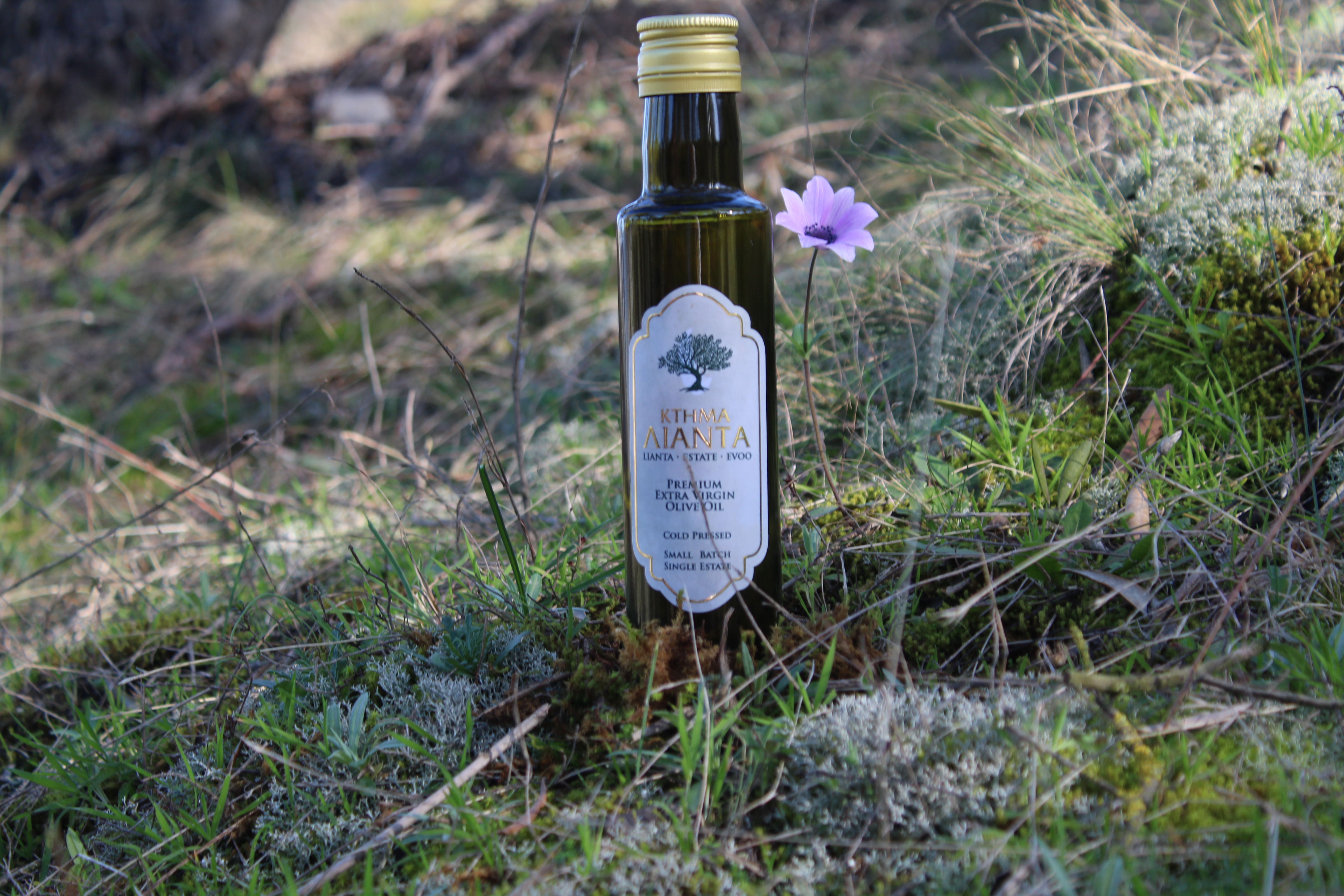 Kthma Aianta Classic Reserve - Premium Extra Virgin Olive Oil 500ml bottle with protective packaging